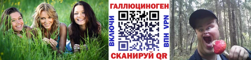 магазин продажи наркотиков Агрыз Галлюциногенные грибы Psilocybe